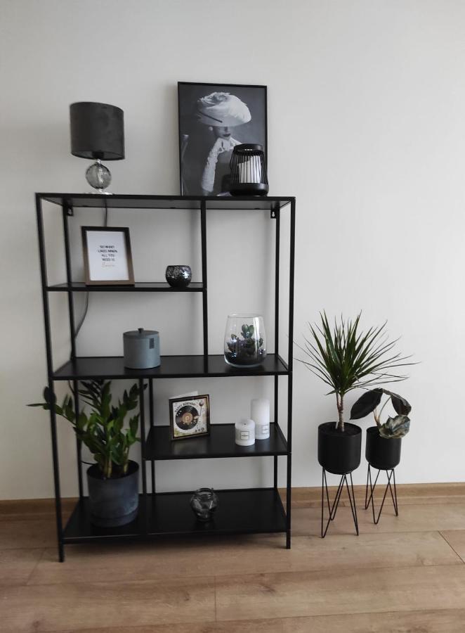 Apartament Mazury Кентшин Экстерьер фото