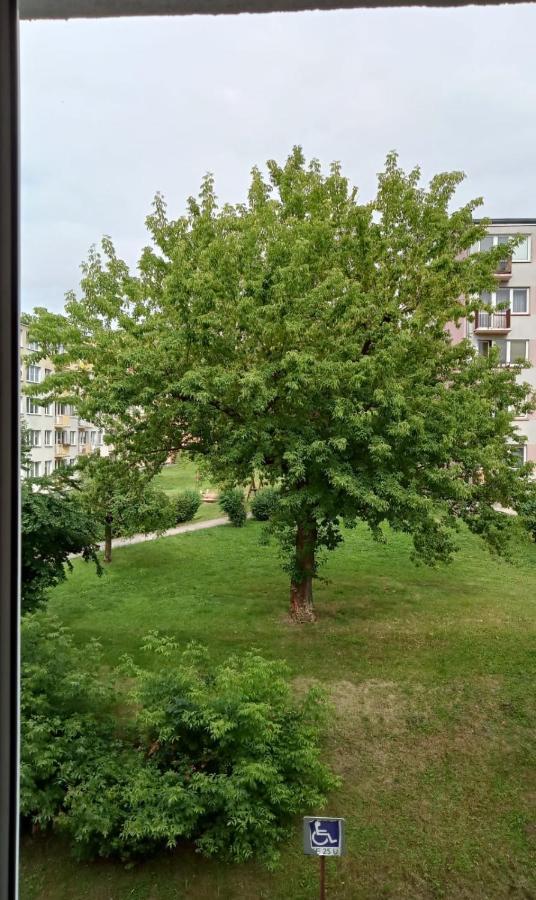 Apartament Mazury Кентшин Экстерьер фото