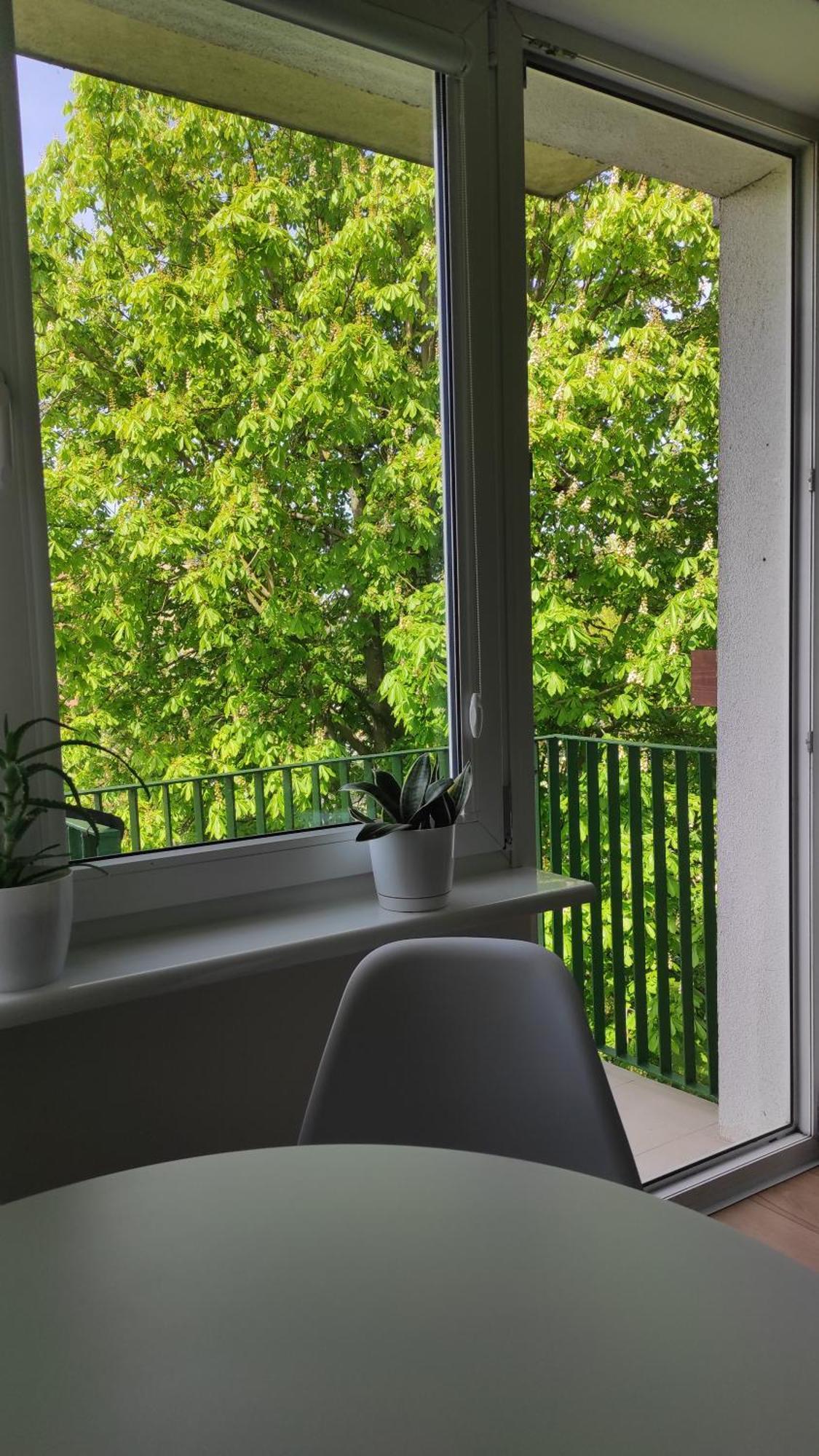 Apartament Mazury Кентшин Экстерьер фото